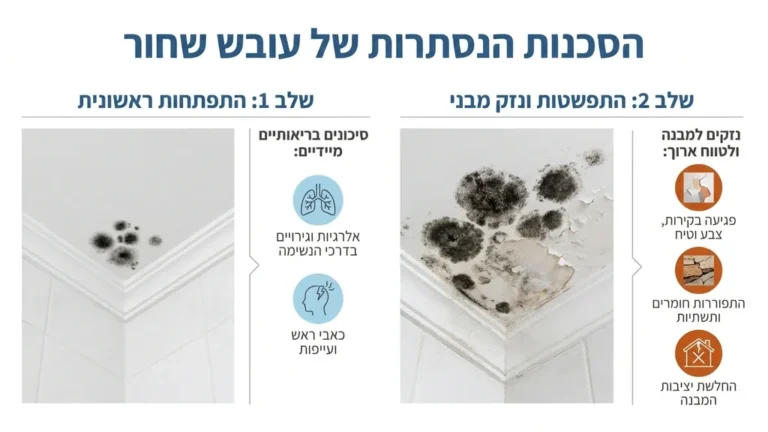 כתמי עובש שחור על תקרת חדר רחצה