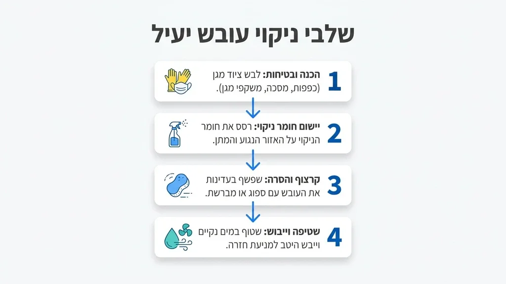 ניקוי מקצועי של עובש מקיר המקלחת